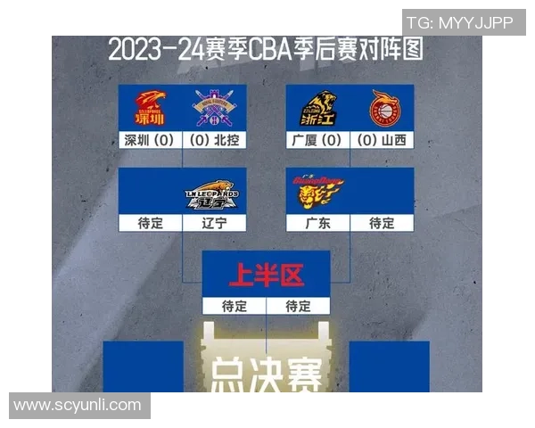 CBA山东对阵辽宁第24轮精彩录像回放全程回顾与分析