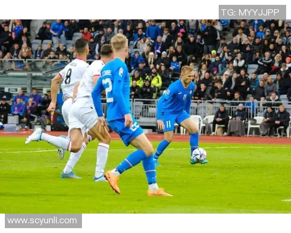 竞彩007阿尔巴尼亚与冰岛激战在即谁能赢得胜利的关键较量